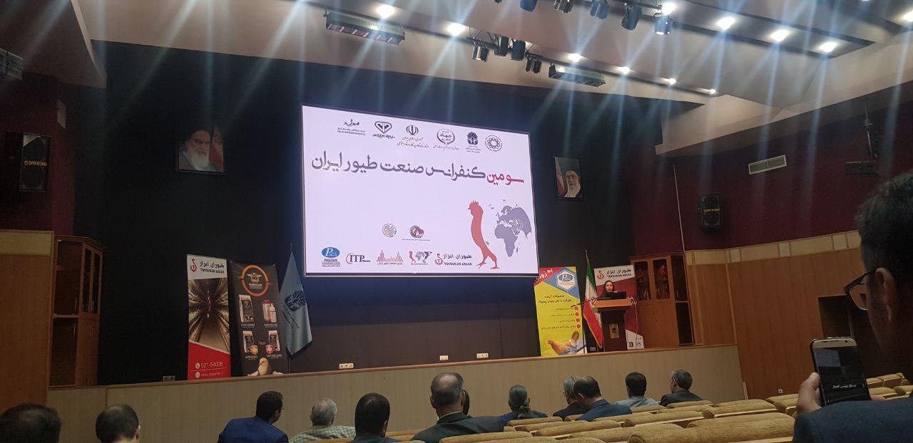 عکس ۱۰